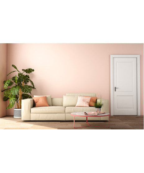 2 panel Regency Primed Door