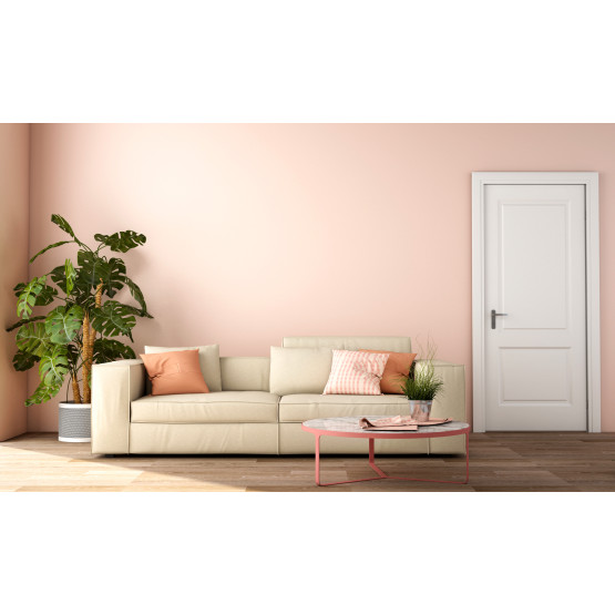 2 panel Regency Primed Door